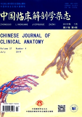 中国临床解剖学