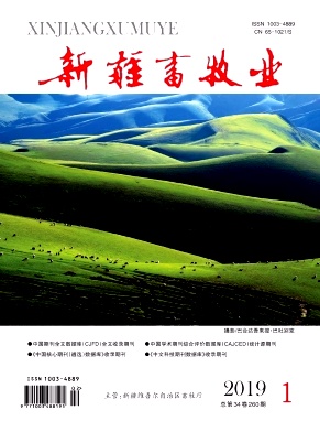 新疆畜牧业