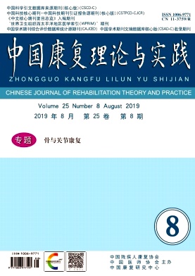 中国康复理论与实践