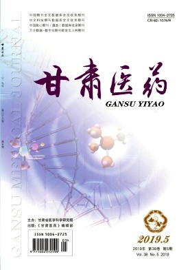 甘肃医药