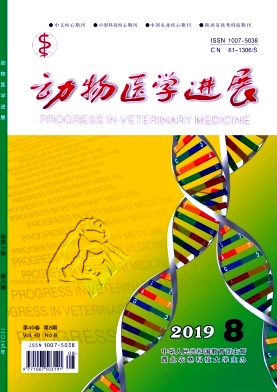 动物医学进展